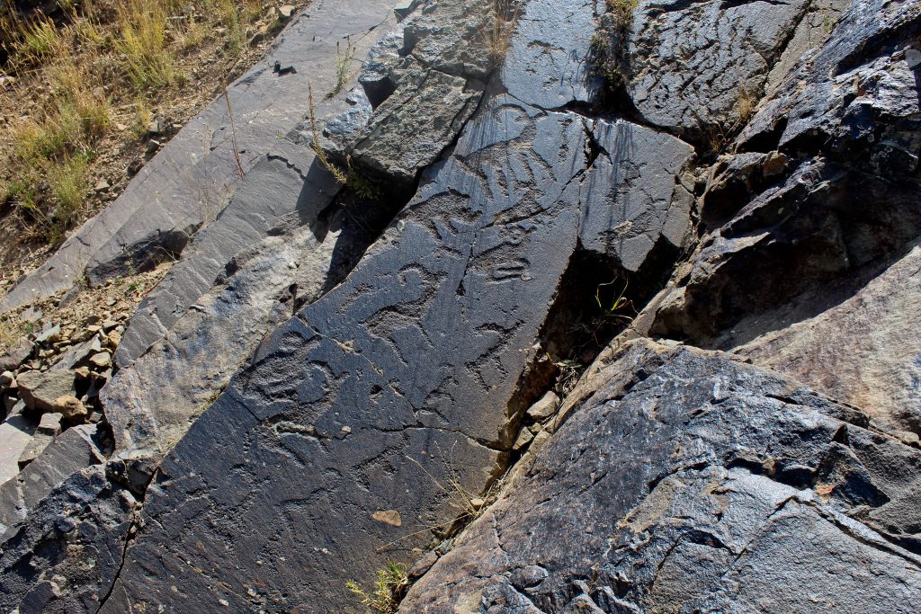 Petroglyphs in Aksu-Zhabagly National Reserve