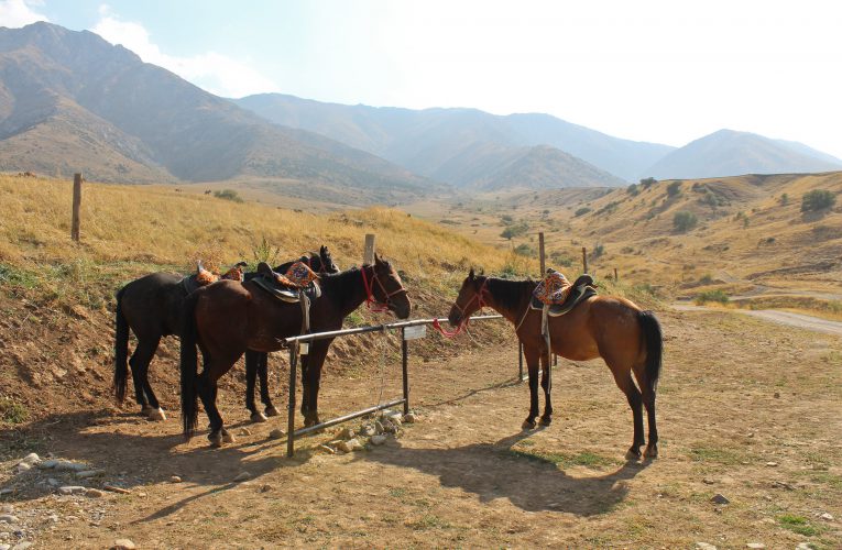 Preparing for a horse ride in Aksu-Zhabagly