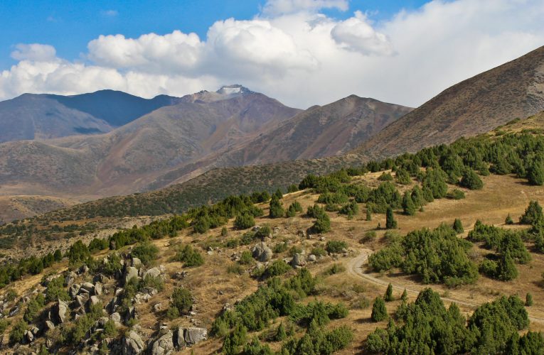 Horse ride through Aksu-Zhabagly National Reserve