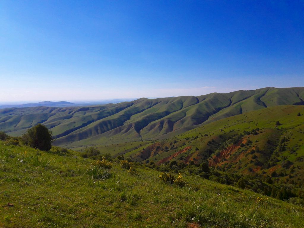 Info Shymkent - Sairam Ugam Nationalpark