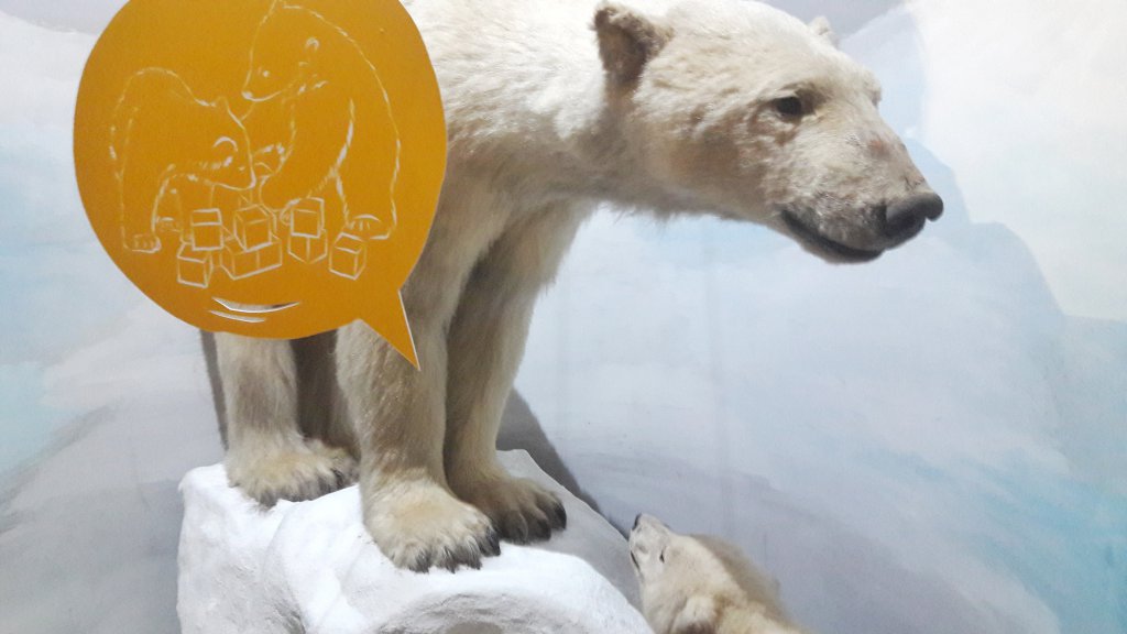 Info Shymkent - Polar bear in Naturkundemuseum.