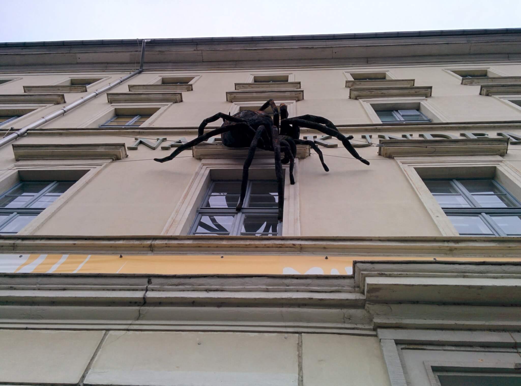Info Shymkent - Huge spider on the wall of Naturkundemuseum Leipzig