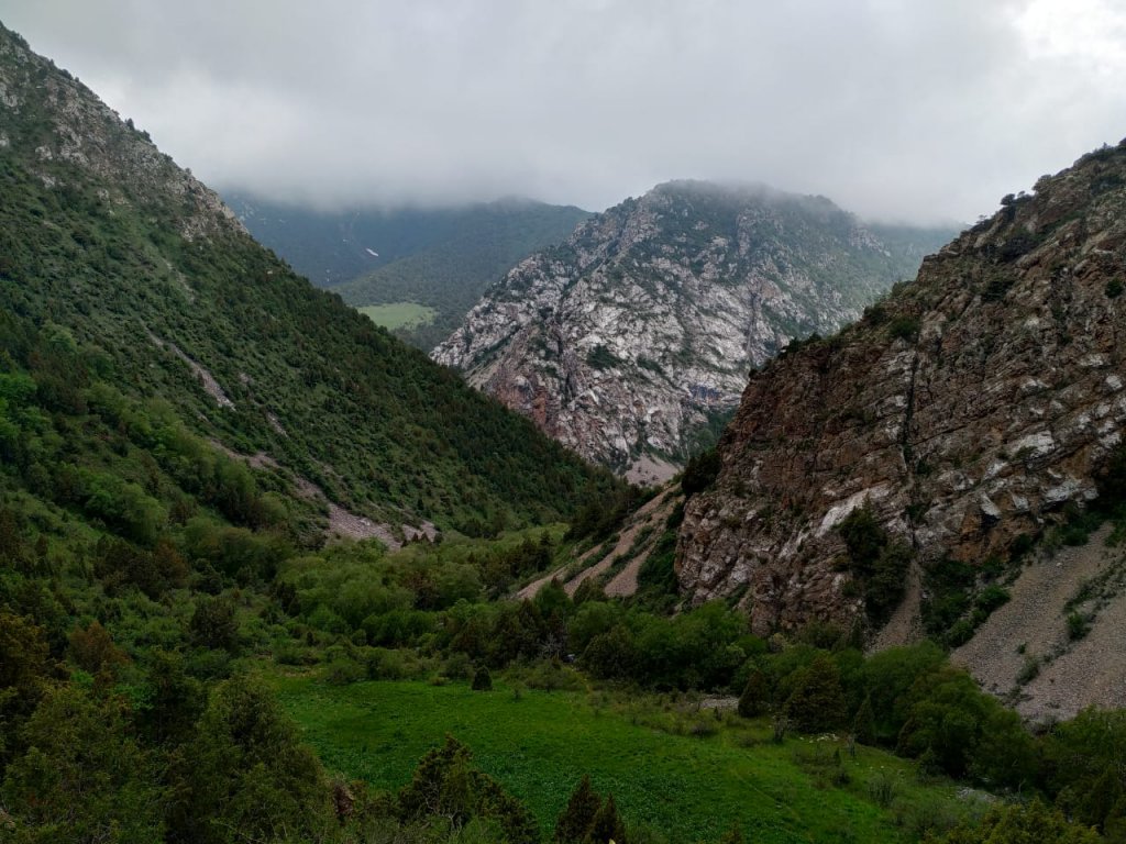 Info Shymkent - Foggy day in the Karatau Mountains in the Turkistan region of Kazakhstan