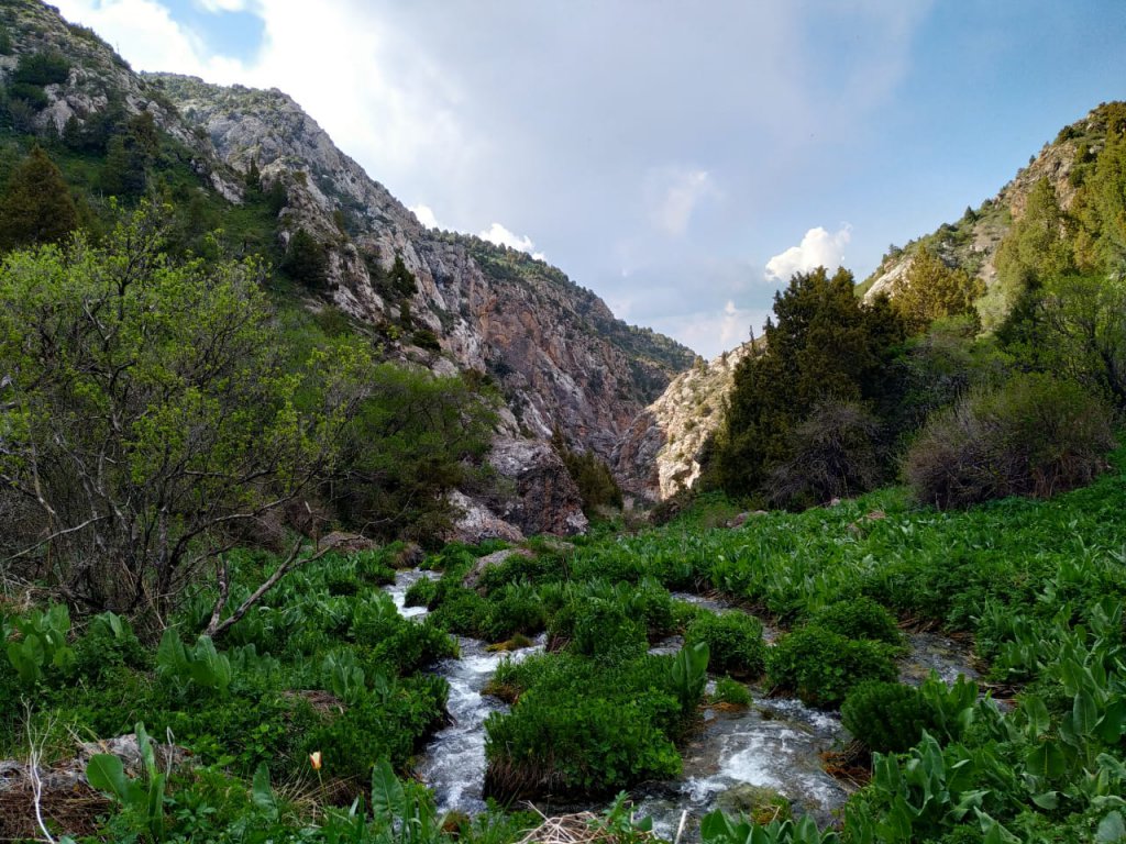 Wild mountain river in the Tian Shan Mountains of south Kazakhstan.