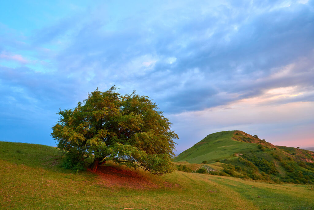 Info Shymkent - Landscape in Turkestan region (Photographer: Yerbolat Shadrakhov)