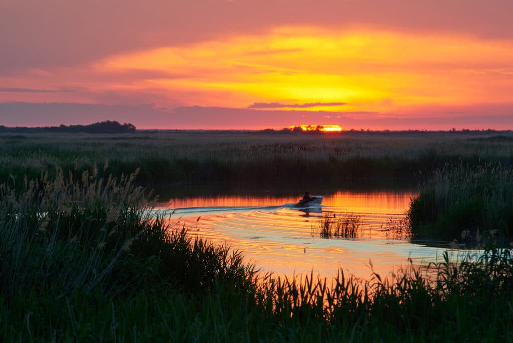 Info Shymkent - Delta of the Ili river (Photographer: Yerbolat Shadrakov)