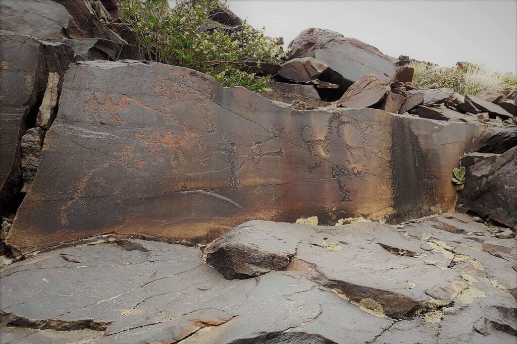 Info Shymkent - Islam Kalani visited Petroglyphs of Arpa Uzen in Karatau Mountains