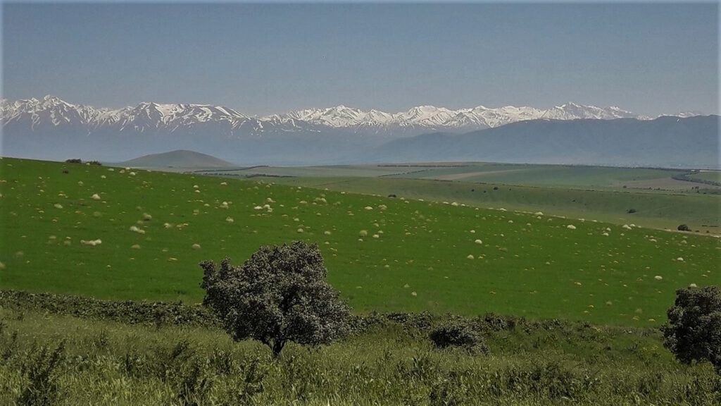 Info Shymkent - View of snow-capped peaks of Western Tian Shan Mountains (Image: Islam Kalani)