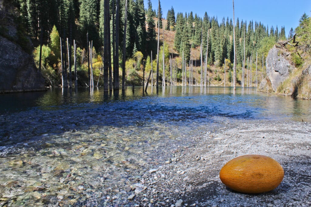 Info Shymkent - Yellow melon at Kaindy Lake, Kazakhstan