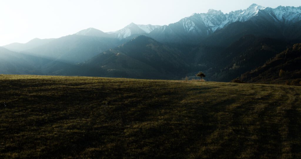 Info Shymkent - Brilliant scene of lonely tree in Tian Shan Mountains in Kazakhstan by Nursultan Baikenov