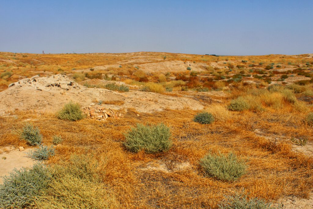 Info Shymkent - Most of the ancient city of Otrar Tube (Arab) in Kazakhstan is still not excavate.