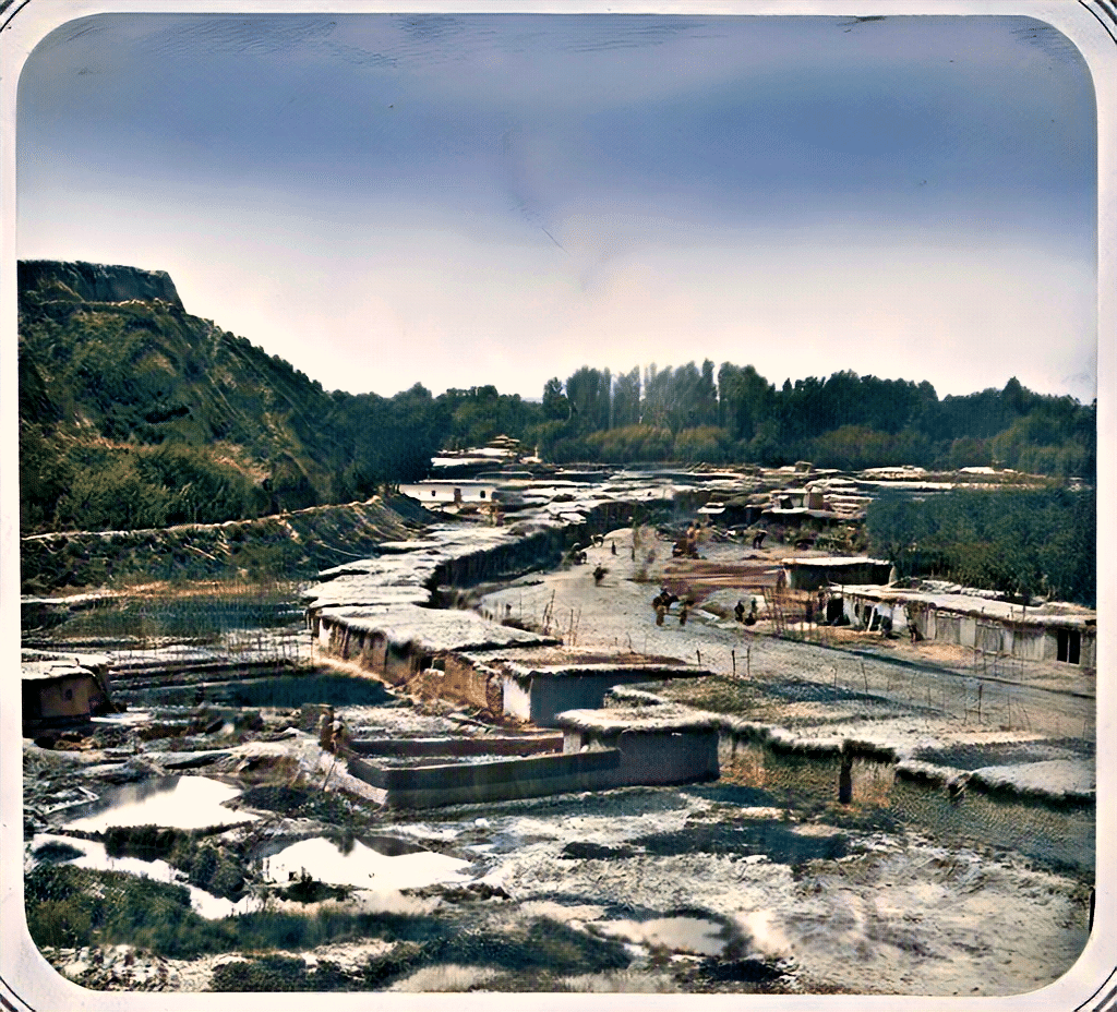 Info Shymkent - View of Shymkent near Citadel at the End of 19th century