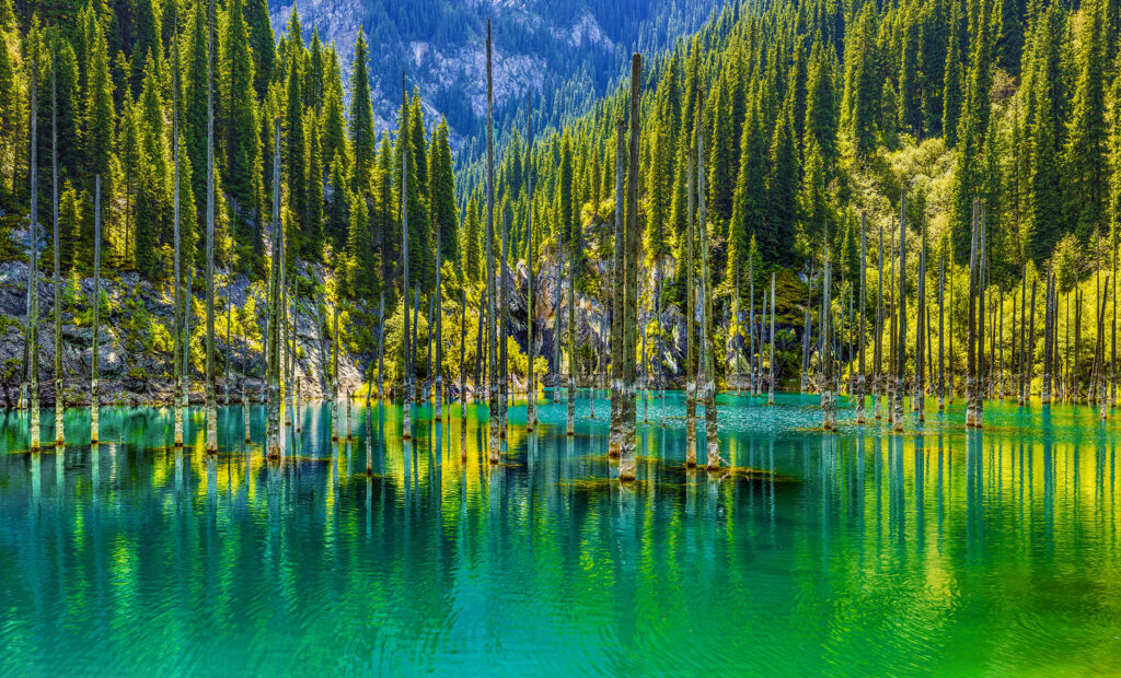 Info Shymkent - Kaindy Lake - a forest in a cyan blue mountain lake (Image: Farhat Kabdykairov)