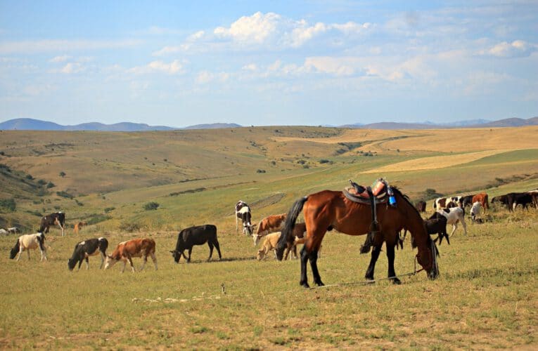 Jaylau near Aksu Canyon