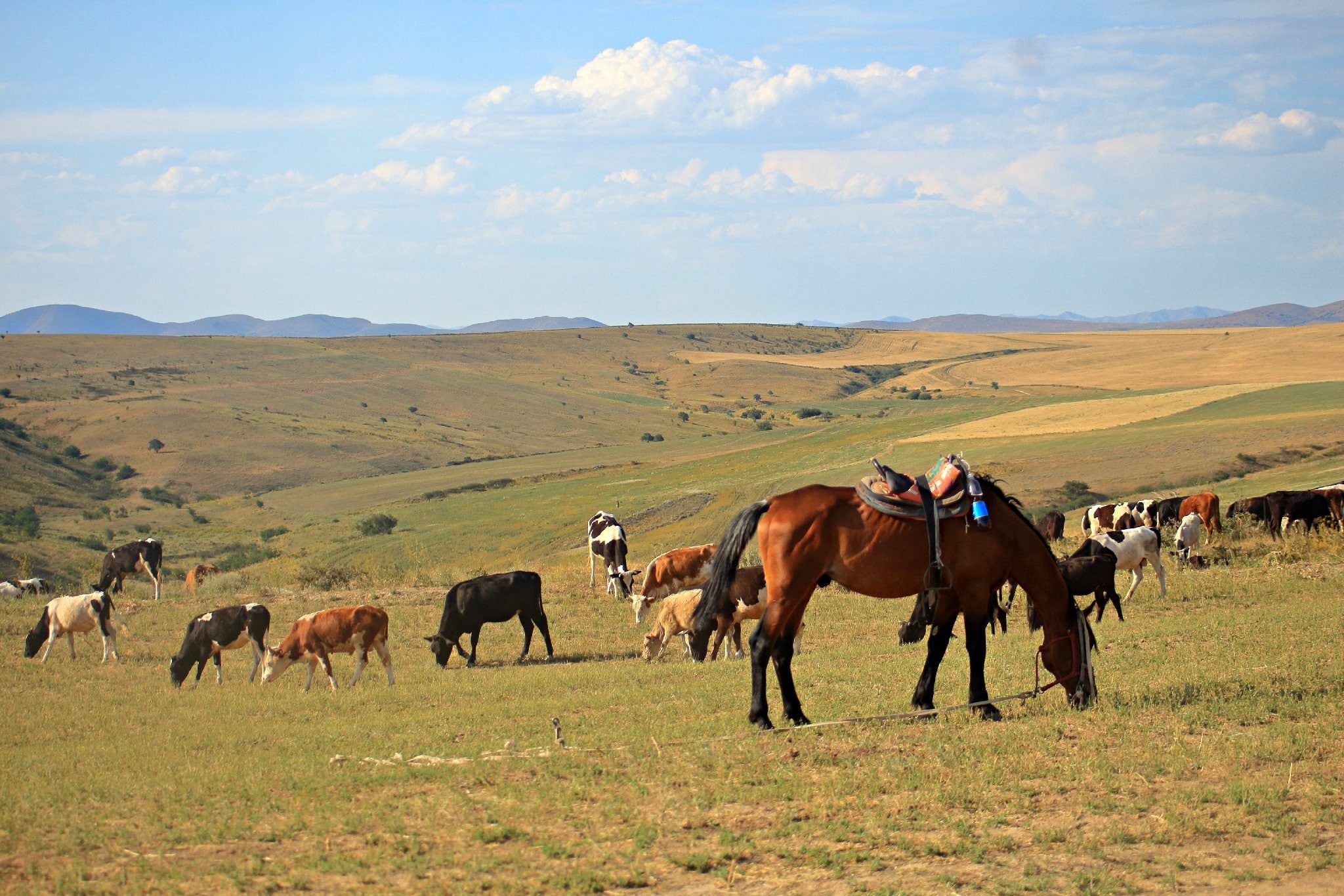 Info Shymkent - A Jaylau near Aksu Canyon in Southern Kazakhstan