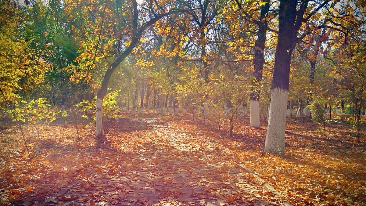 Info Shymkent - Indian Summer in Abay Park in Shymkent