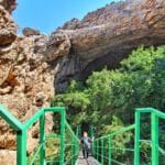Info Shymkent - The Akmeshit Cave has a forest of mulberry trees inside