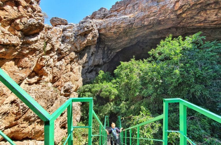 Info Shymkent - The Akmeshit Cave has a forest of mulberry trees inside