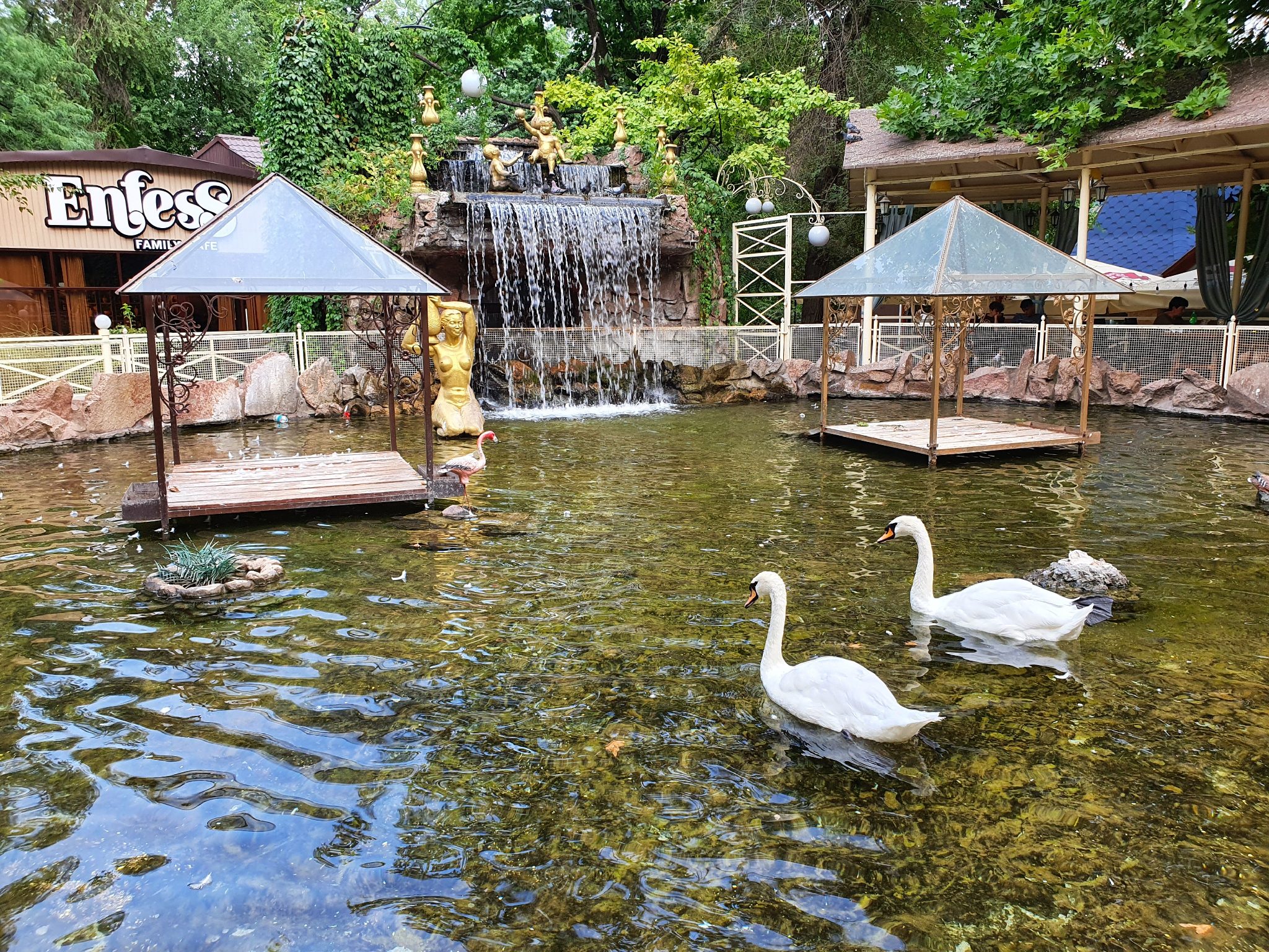 Info Shymkent - Swans at Ken-Baba park