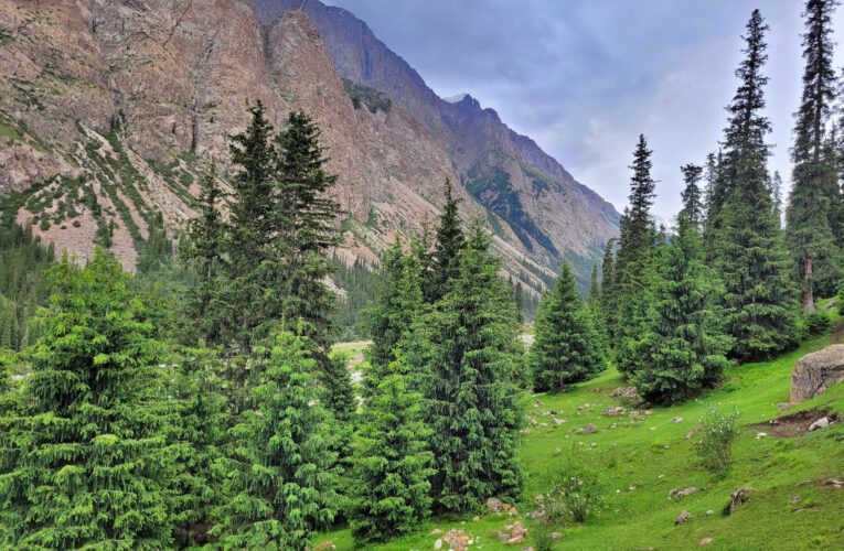 Info Shymkent - Barskoon Valley in Kyrgyzstan