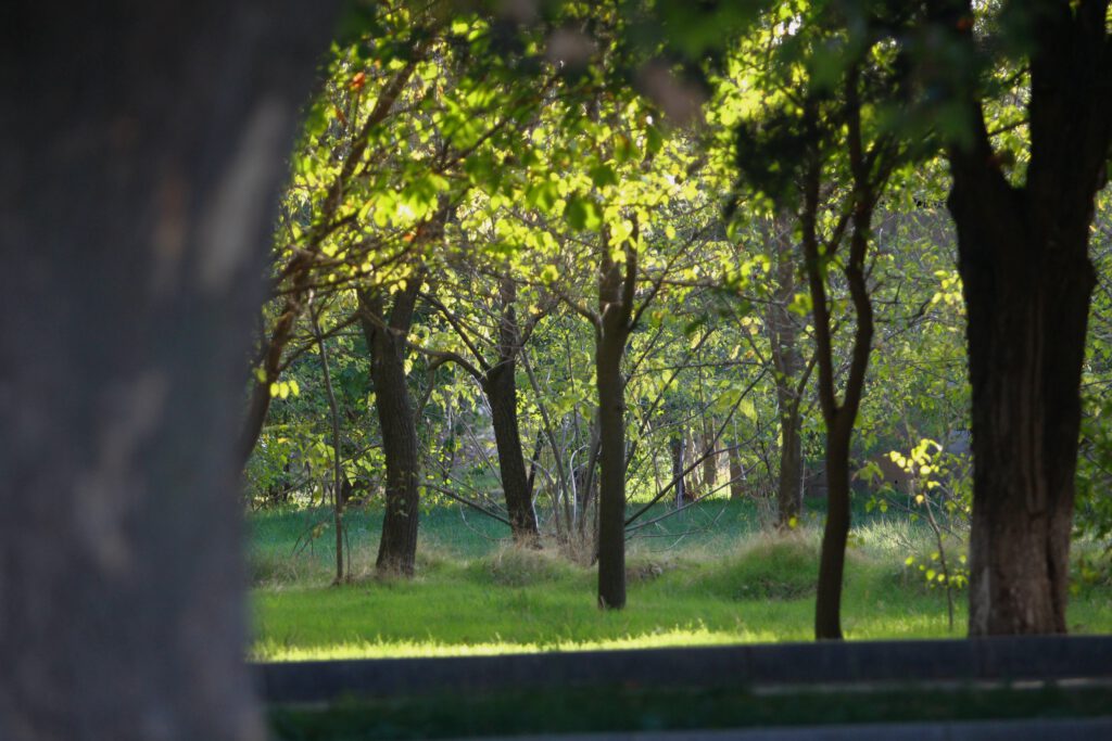 Info Shymkent - Shymkent Zoo