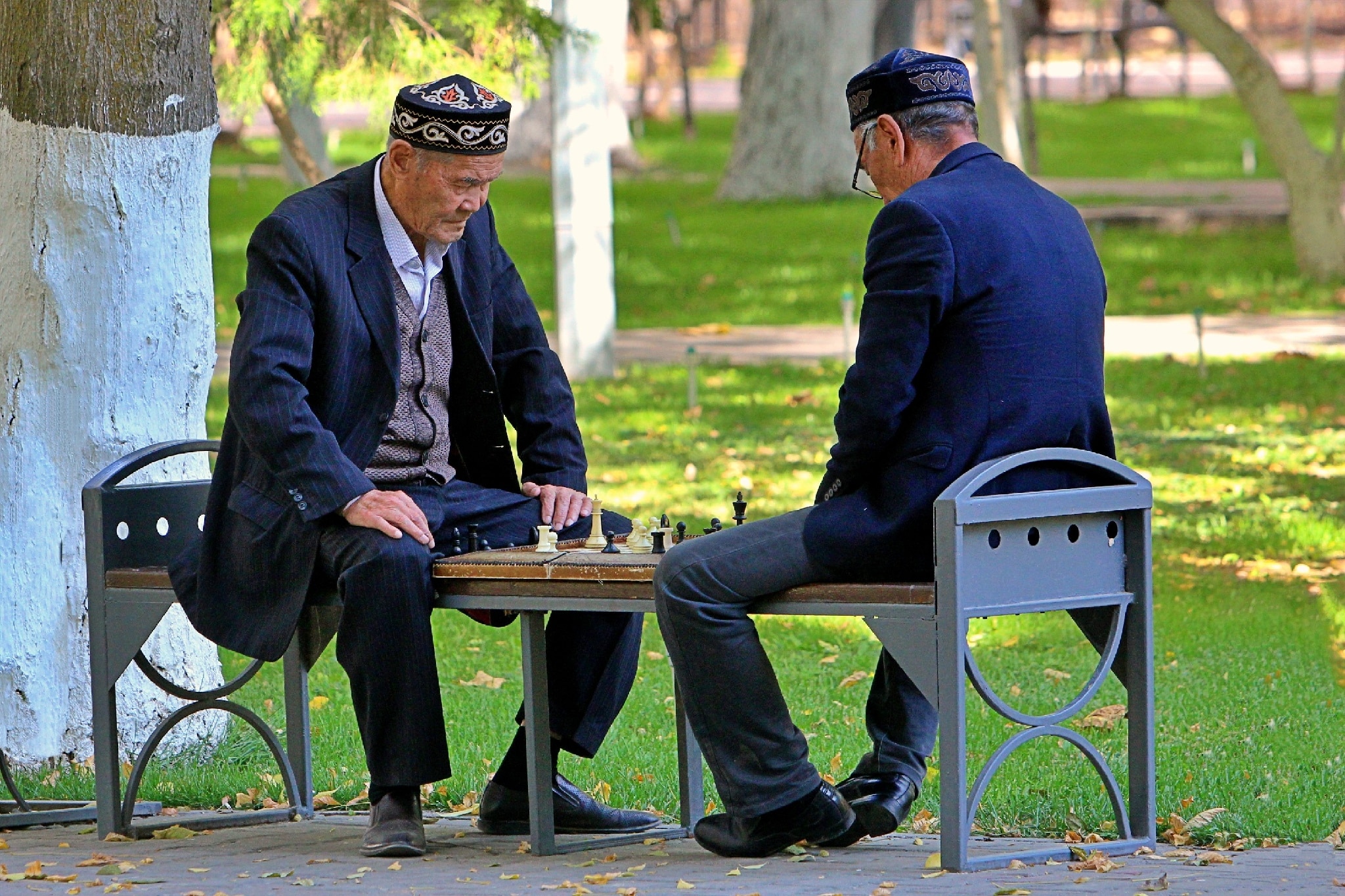 Info Shymkent - The Chess capital Shymkent