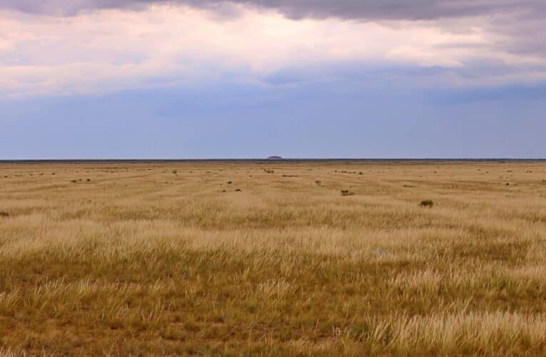 Info Shymkent - Rock Burytastagan in the flat steppe near Aksuat in Kazakhstan