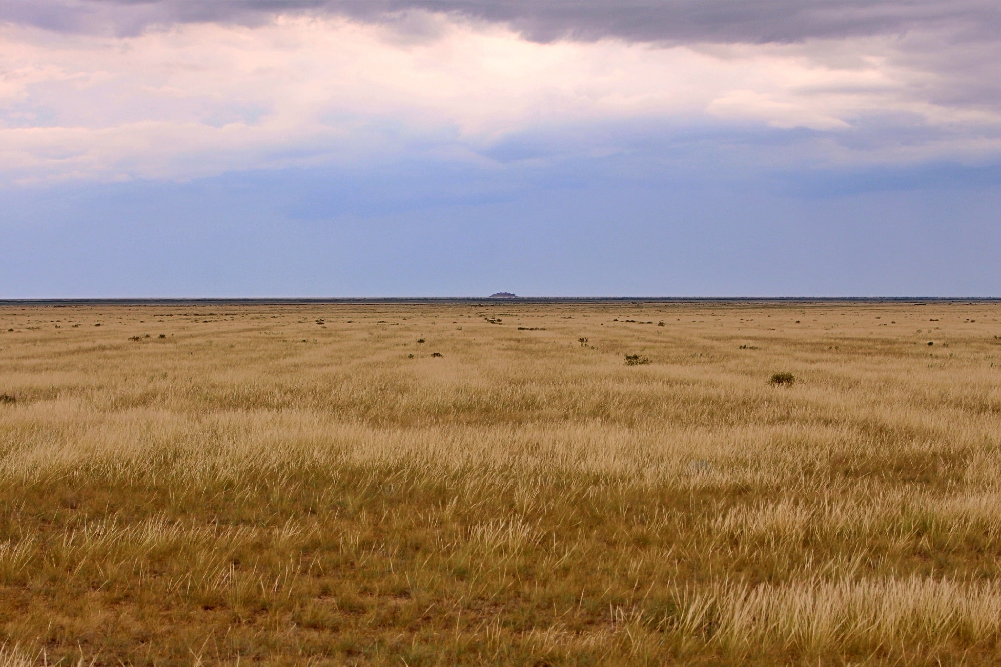 Info Shymkent - Rock Burytastagan in the flat steppe near Aksuat in Kazakhstan