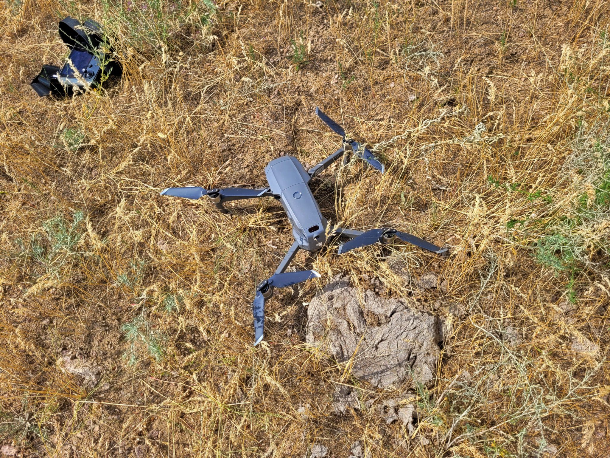 Our lost drone next to a cow pat