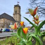 InfoShymkent - Tulips in front of the town hall in Berlin-Schöneberg 2026