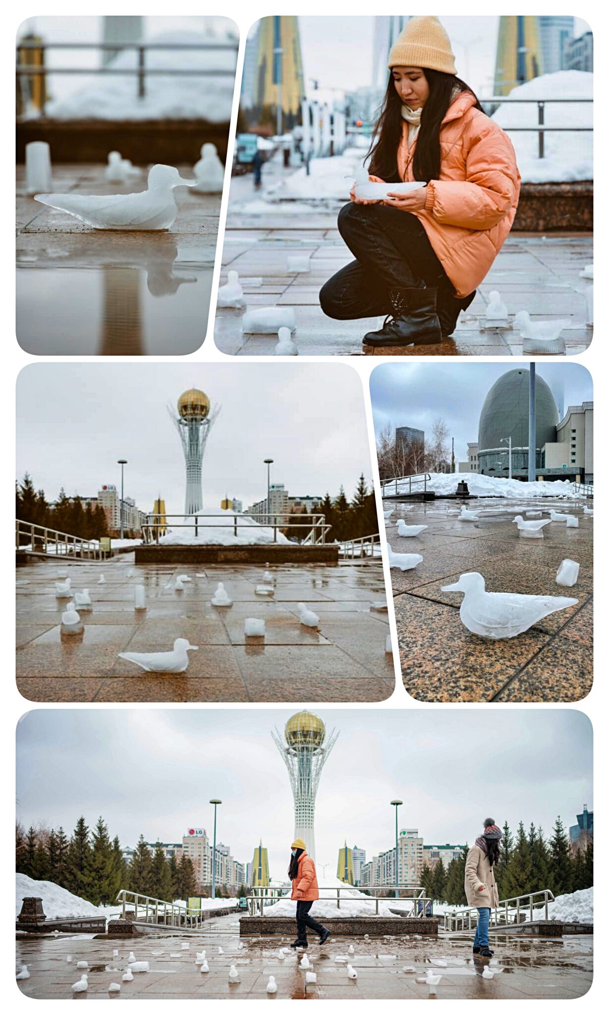 Info Shymkent - Artist Aisulu Dräger and the project "Qustar Keldi"