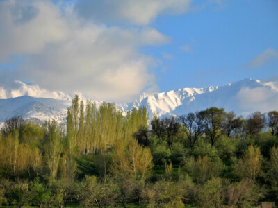 Info Shymkent - Western Tian Shan near Shymkent (Photo: Dagmar Schreiber)